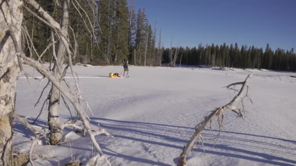 Man Dragging Expedition Snow Sled Full Camping Gear Nature — ストック動画