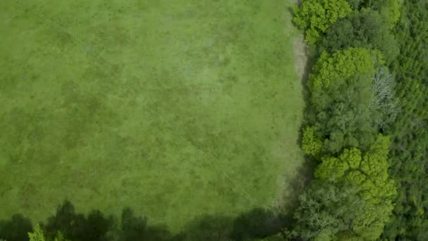 Simple Countryside Corner Farmland Fields Aerial View Tilting Upwards Alongside — Stockvideo