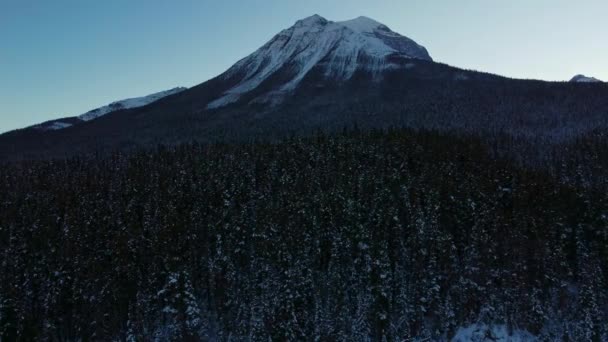 Горный Пик Сосновым Лесом Снегу — стоковое видео