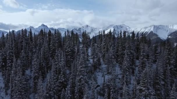 Mountain Range Peak Snow Reveal Trucking — Vídeo de stock