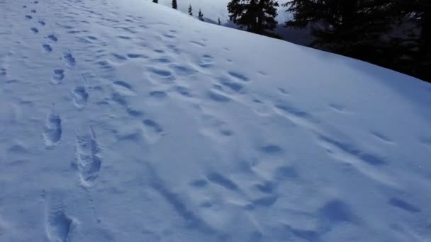 Mountain Valley Snow Footsteps Revealed — Video Stock