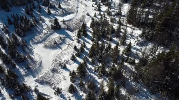 Луг Лісі Покритий Сніжною Горою Розкриває — стокове відео