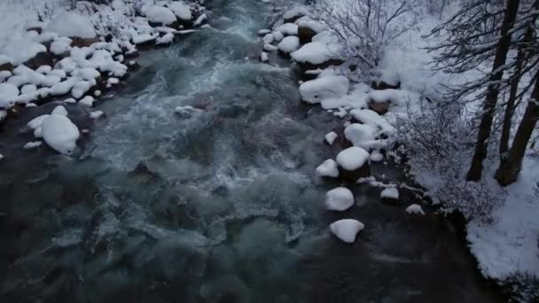 Creek Snow Followed Downstream — Vídeos de Stock