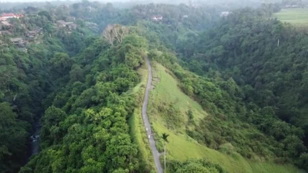 Campuhan Ridge Walk Bali Ubud Hiking Trail Hilltop Aerial Drone — Stok Video