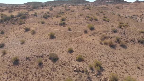 Drone Single Track Karoo Desert — Vídeos de Stock