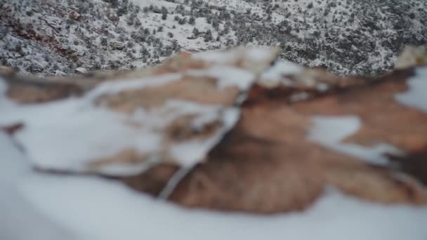 Cinematic Slow Motion Pan Snow Covered Canyon — Stockvideo