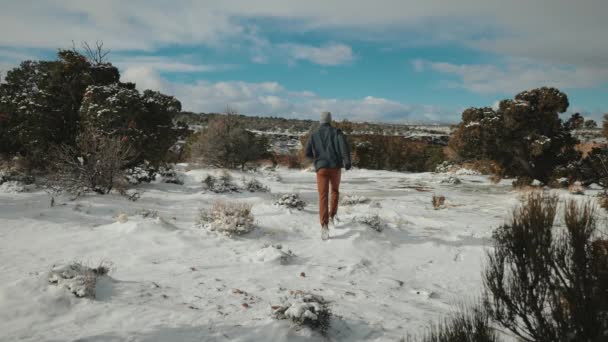 Man Exploring Snowy Wilderness Desert Snow Storm Freezing Temperatures — Vídeo de Stock
