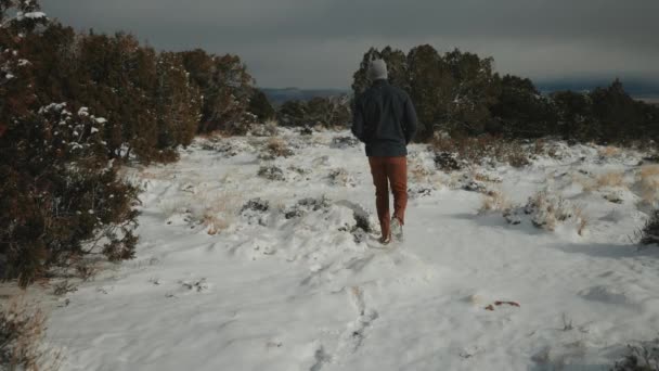 Приключения Дикой Природе Снегом Земле — стоковое видео