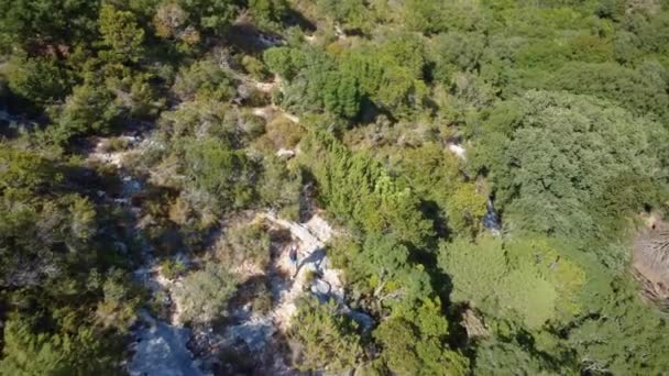 Hiker Walking Path Middle Mediterranean Vegetation Kefalonia Island Greece — Vídeos de Stock