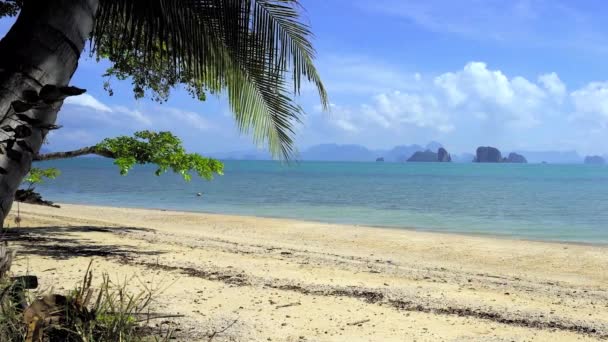 Sandy Beach Thailand Island — Vídeo de Stock