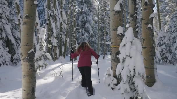 Beautiful Woman Adventuring Snow Forest — Stockvideo