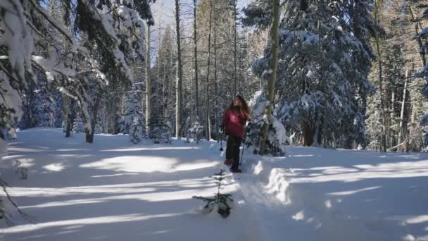 Beautiful Woman Snowshoeing Forest Fresh Snow Fall Colorado — Stockvideo