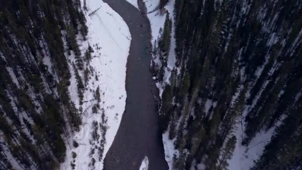 Creek Road Mountains Winter — Stok video