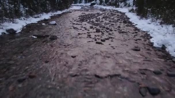Torrente Nella Foresta Montagna Monte Curva Inverno — Video Stock