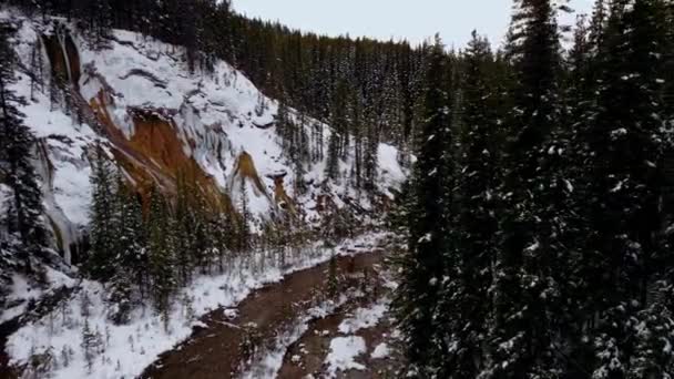 Waterfall Creek Pine Forest Reveal Mountains Snowing — Stock video