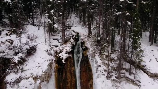Waterfall Pine Forest Pulling Out Tilt Snowing — Stockvideo