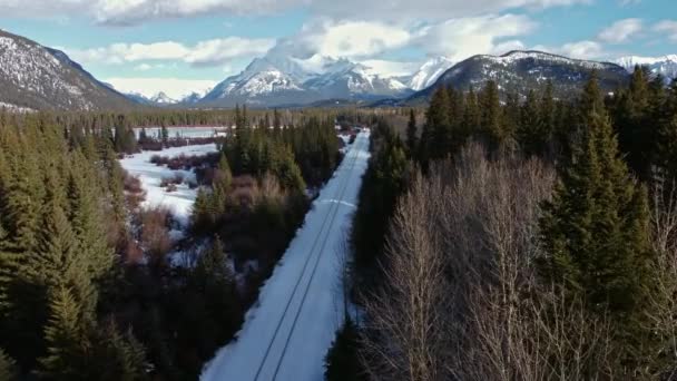 Train Mountain Forest Approaching Descending — Stock Video