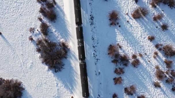 Train Oil Trailers Trough Marsh Winter Snow Followed Tilt — Stok video