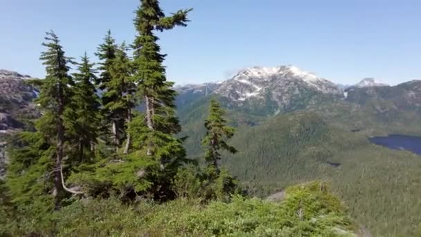 Alpine Mountain Views Vancouver Island — Vídeos de Stock