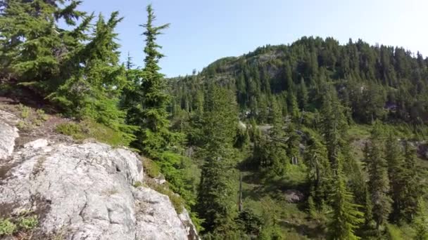 Alpine Mountain Views Vancouver Island — Stock video