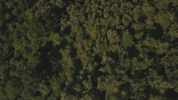 Reveal Drone Shot Tuscan Coast Town Lido Camaiore Italy — Video Stock