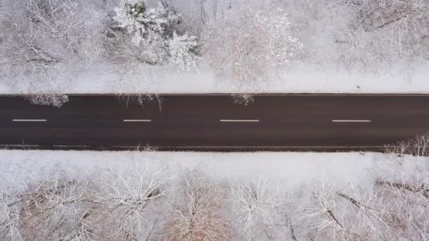 Car Driving Fast Wintry Road Snow Its Roof — Wideo stockowe