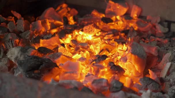 Fire Embers Burning Close Glow Heat — Stok video