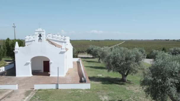 Monsaraz Grove Trees Next White Church Building — Vídeo de stock