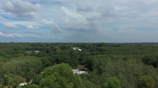 Aerial Crane Shot Chi Vietnam Farms Forests Sunny Day Blue — Αρχείο Βίντεο