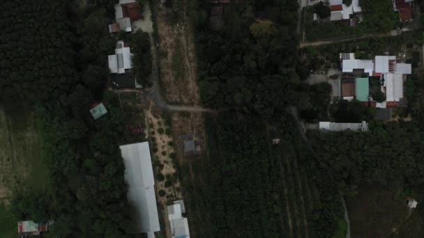 Aerial Top Shot Chi Vietnam Greenhouse Farm Houses Forests Sunny — Wideo stockowe