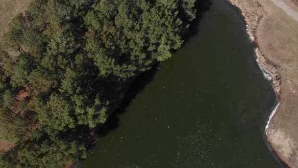 Aerial Drone Footage Frozen Lake Pine Trees Edge — Vídeos de Stock