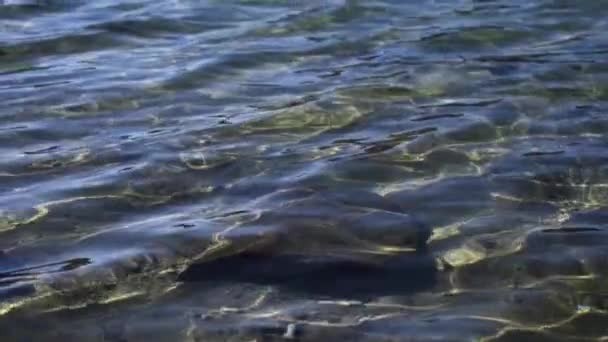 Patterns Water Chandratal Lake Himachal Pradesh Water Ripples Bright Sunny — ストック動画