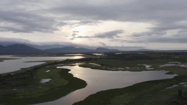 River Amolar Region Pantanal Drone Image Back — 비디오