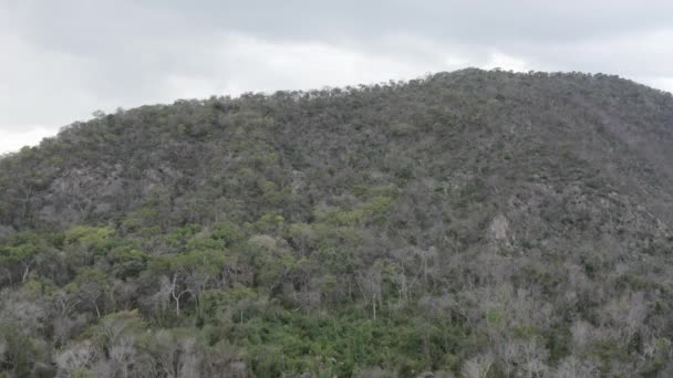 Recovering Vegetation Fires Pantanal Amolar Range Brazil — Vídeo de stock