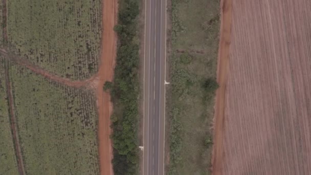 Road Next Crop Field South America Filmed Drone Vertical Shot — Stockvideo