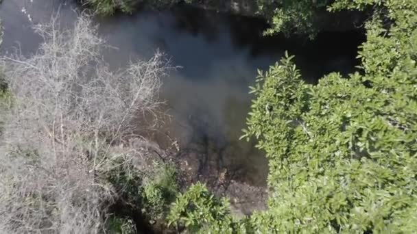 Nahaufnahme Des Flusses Drohne Steigt Auf Und Zeigt Landschaft Voller — Stockvideo