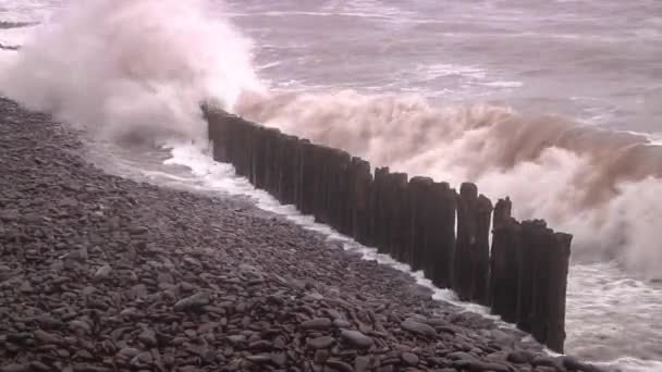 Waves Breaking Wooden Sea Defence Storm Franklin Bristol Channel Minehead — Stockvideo