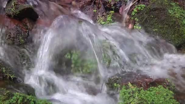 Closeup Fast Flowing Water Small Woodland Stream Exmoor National Park — Stock video