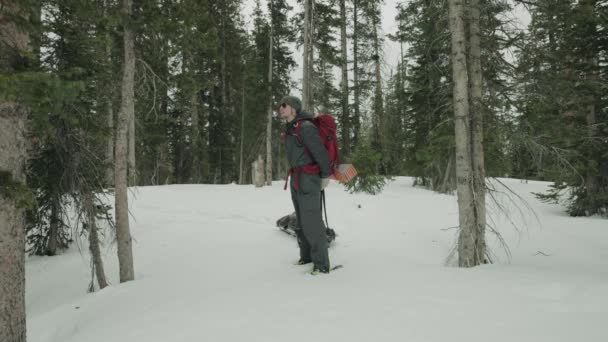 Man Exploring Wild Forest Snow — Vídeos de Stock