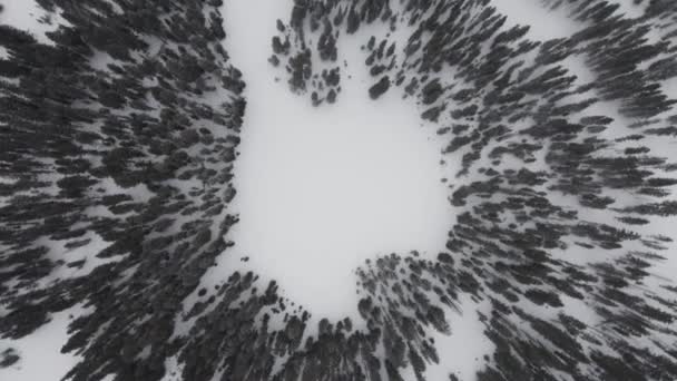 Wilderness Lake Heart Drone Βολή — Αρχείο Βίντεο