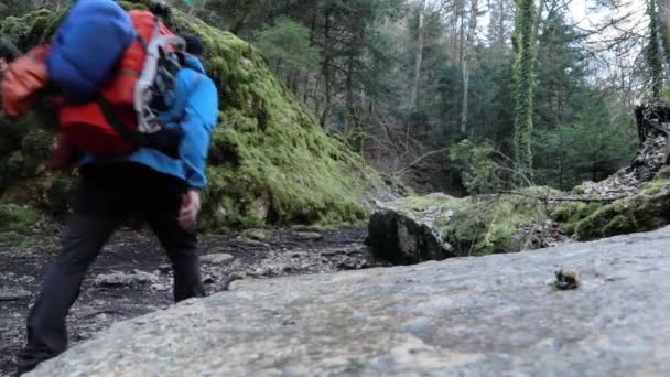 Sırt Çantalı Erkek Arkadaş Yosunlu Yeşil Ormanda Yürüyüş Yapıyorlar Parazit — Stok video