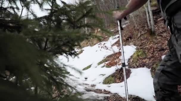 Backpacker Hiking Gear Trekking Poles Walking Outdoor Trail Snow Slow — Stok video