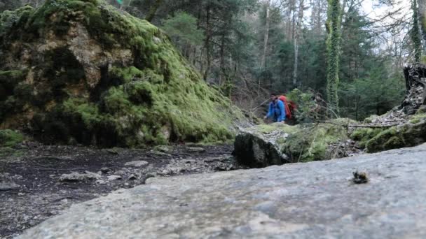 Slow Motion Male Millennial Backpacker Hiking Mossy Green Forest Alone — 图库视频影像