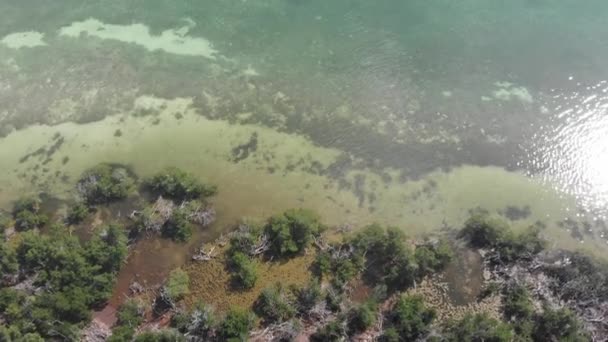 Marsh Coastline Shallow Clear Ocean Water Keys Florida Usa Fishing — Vídeo de Stock