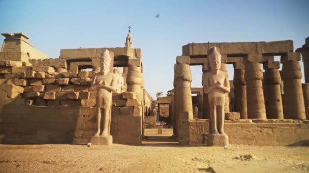 Grote Standbeelden Van Koningen Naast Karnak Tempel Ingang Luxor Egypte — Stockvideo