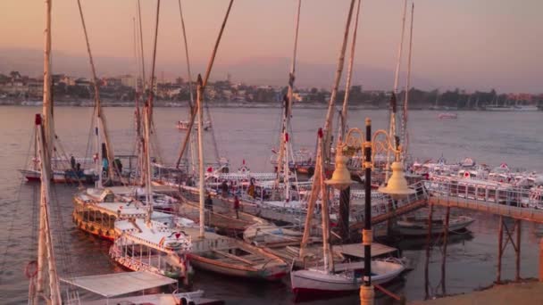 船只停泊在埃及南部的卢克索 西岸与尼罗河东岸相望 日落或升起时 色彩温暖 光线柔和 静态射击 — 图库视频影像