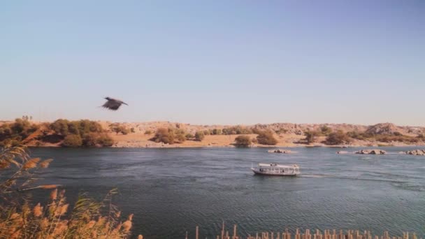 Breed Uitzicht Rivier Nijl Met Een Boot Rijden Sehel Island — Stockvideo