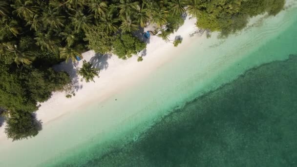 Top View Coastline White Sand Sunbeds Beach Maldives Island — ストック動画