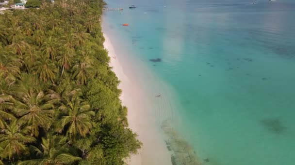 Панорама Мальдивского Острова Береговой Линией Которой Бирюзовой Воде Расположен Пирс — стоковое видео