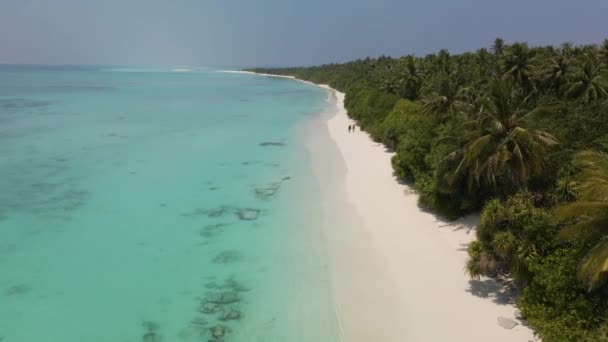Drone Flight Coastal Strip Maldivian Island Green Trees Two Walking — Video Stock